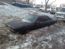 Подснежник